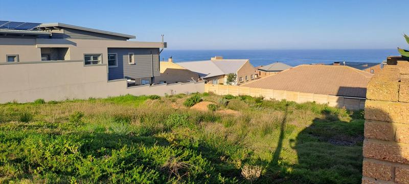 0 Bedroom Property for Sale in Jongensfontein Western Cape